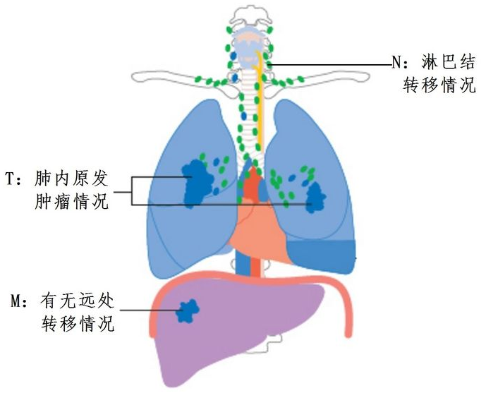 微信截图_20211130101905.png